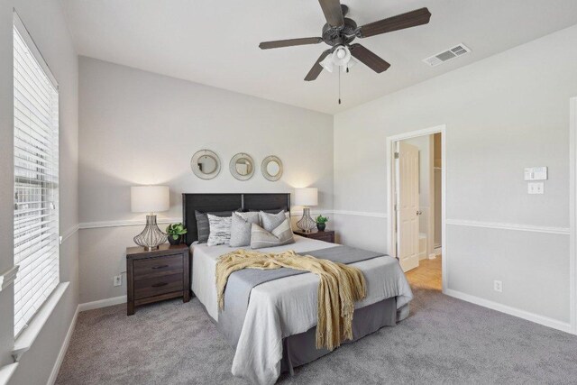 1207 Tricia Cv, Hutto, TX 78634 - photo 23