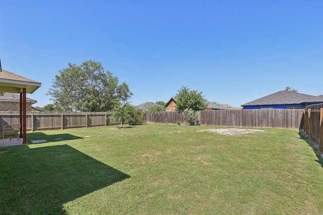 1207 Tricia Cv, Hutto, TX 78634 - view of yard