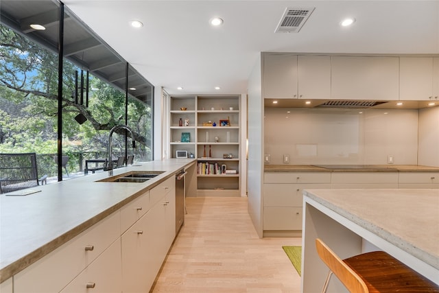 300 Summer Hills Dr, Wimberley, TX 78676 - kitchen with a sink, light countertops, light wood finished floors, recessed lighting, and dishwasher