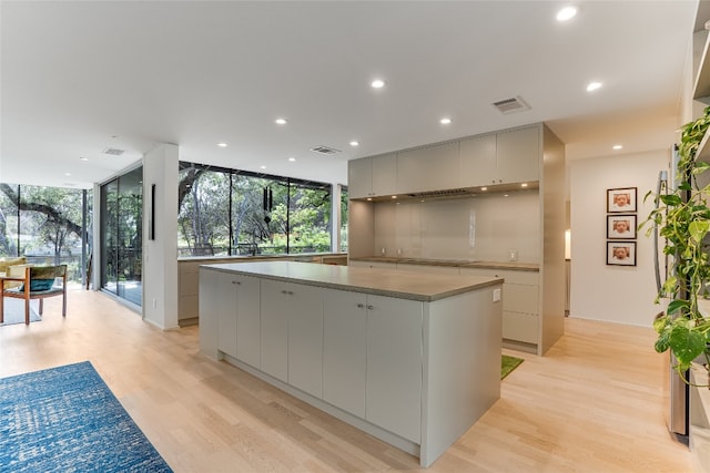300 Summer Hills Dr, Wimberley, TX 78676 - kitchen with modern cabinets, a large island, light wood-style floors, a wall of windows, and recessed lighting