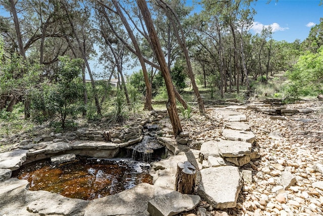 300 Summer Hills Dr, Wimberley, TX 78676 - view of yard