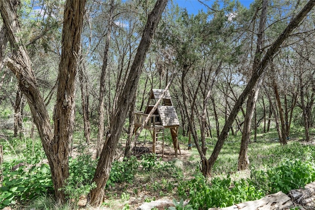 300 Summer Hills Dr, Wimberley, TX 78676 - view of undeveloped land