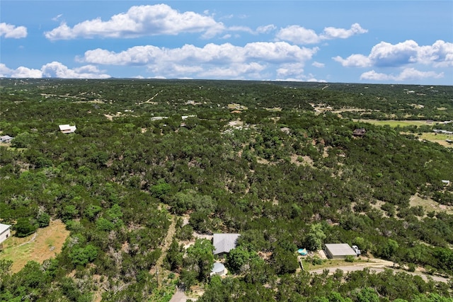 300 Summer Hills Dr, Wimberley, TX 78676 - bird's eye view of a heavily wooded area