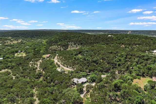 300 Summer Hills Dr, Wimberley, TX 78676 - bird's eye view of a forest