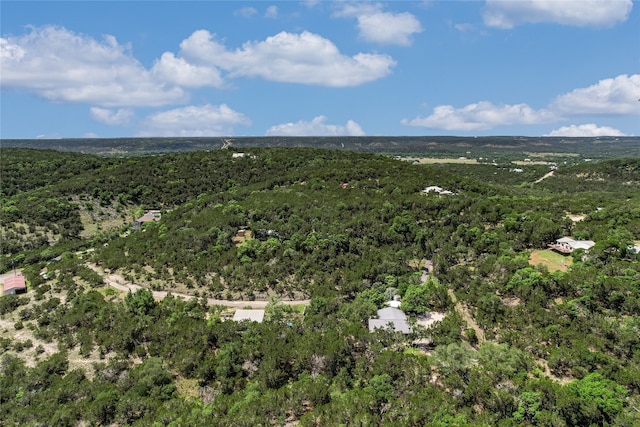300 Summer Hills Dr, Wimberley, TX 78676 - bird's eye view of a heavily wooded area