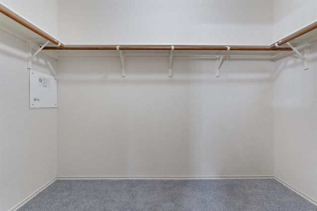 7432 Cayenne Ln, Austin, TX 78741 - spacious closet featuring carpet flooring