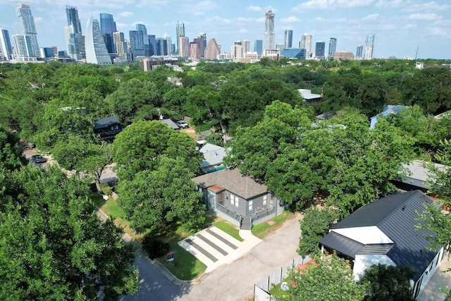 803 Josephine St, Austin, TX 78704 - aerial view of skyline