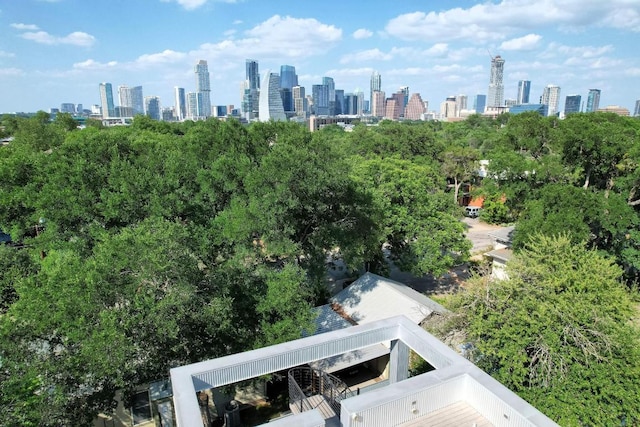 803 Josephine St, Austin, TX 78704 - skyline view