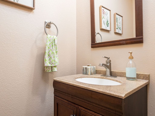 235 Herrera Trl, Hutto, TX 78634 - bathroom with vanity and a textured wall