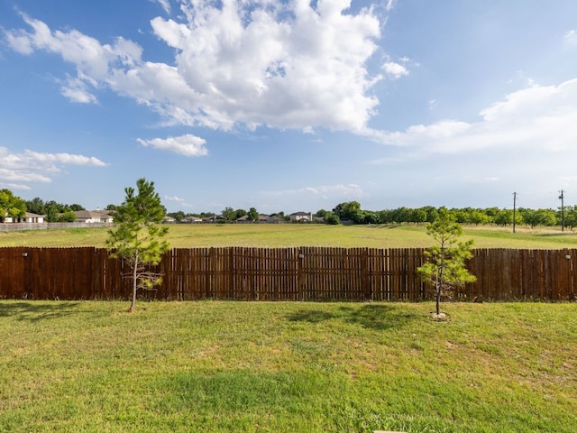 235 Herrera Trl, Hutto, TX 78634 - view of yard