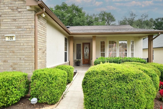 109 Ruellia Dr, Georgetown, TX 78633 - photo 4