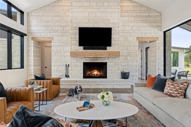 6037 Verandero Ct, Austin, TX 78738 - living area with a stone fireplace, wood finished floors, and high vaulted ceiling