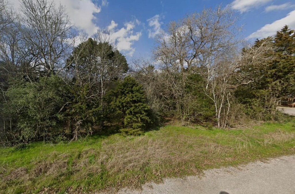 0 Road Runner Ln, Bastrop, TX 78602 - photo 1