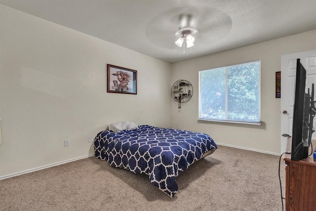 897-899 Sagewood Trl, San Marcos, TX 78666 - photo 17