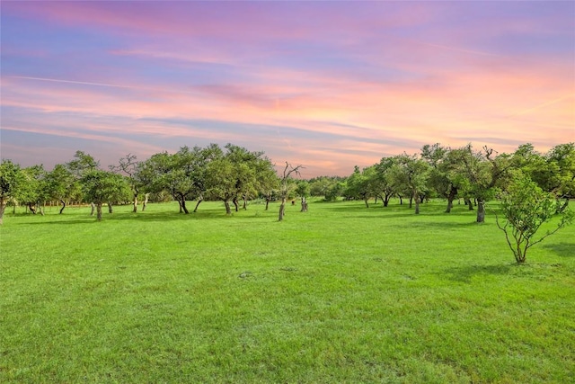 708 Post Oak Dr, Dripping Springs, TX 78620 - yard at dusk featuring a yard and a rural view