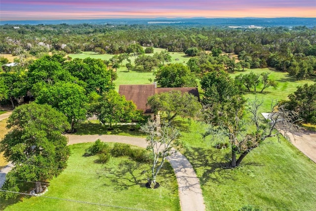 708 Post Oak Dr, Dripping Springs, TX 78620 - bird's eye view