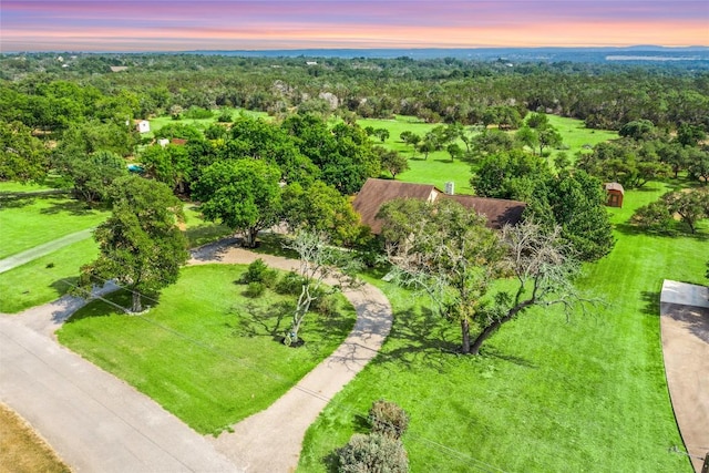 708 Post Oak Dr, Dripping Springs, TX 78620 - bird's eye view of a heavily wooded area