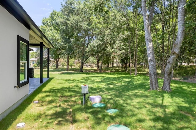 147 Puu Waa Waa Ln, Bastrop, TX 78602 - view of green lawn