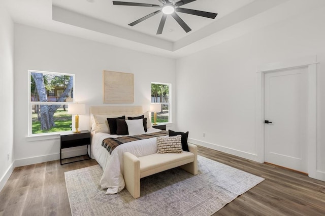 147 Puu Waa Waa Ln, Bastrop, TX 78602 - bedroom featuring multiple windows, a raised ceiling, and wood finished floors
