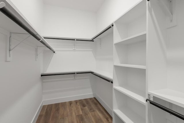 147 Puu Waa Waa Ln, Bastrop, TX 78602 - spacious closet with dark wood-type flooring
