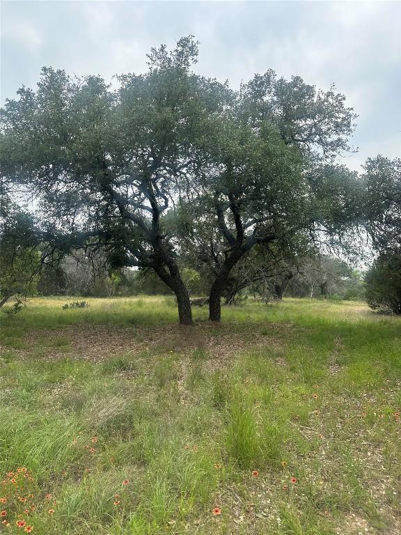 144 S Live Oak Dr, Goldthwaite, TX 76844 - photo 10