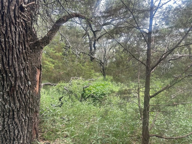 144 S Live Oak Dr, Goldthwaite, TX 76844 - photo 14
