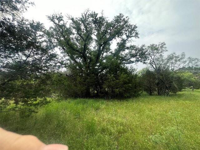144 S Live Oak Dr, Goldthwaite, TX 76844 - photo 15