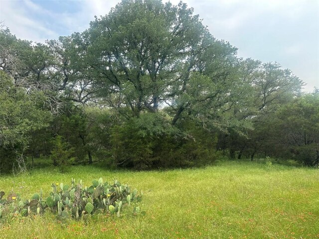 144 S Live Oak Dr, Goldthwaite, TX 76844 - photo 16