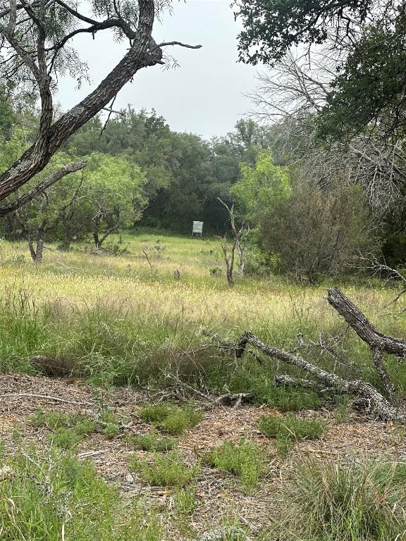 144 S Live Oak Dr, Goldthwaite, TX 76844 - photo 3