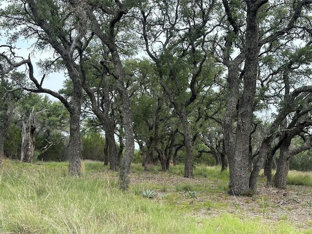 144 S Live Oak Dr, Goldthwaite, TX 76844 - photo 5