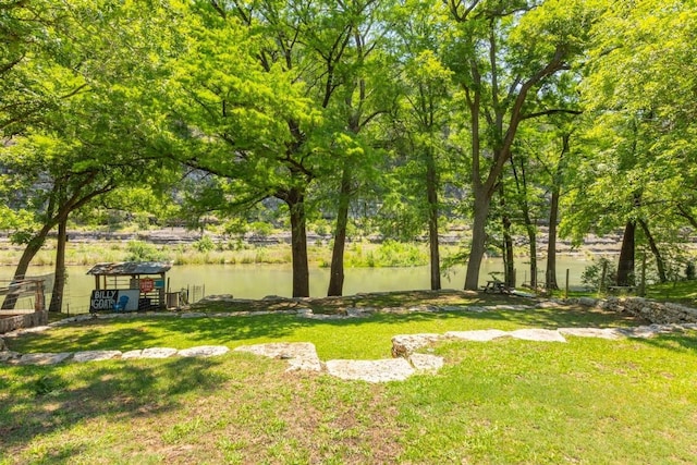 8560 River Rd, New Braunfels, TX 78132 - photo 3