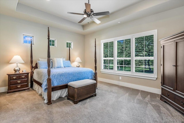 313 Aldea Cv, Georgetown, TX 78633 - bedroom with a tray ceiling, carpet floors, and ceiling fan