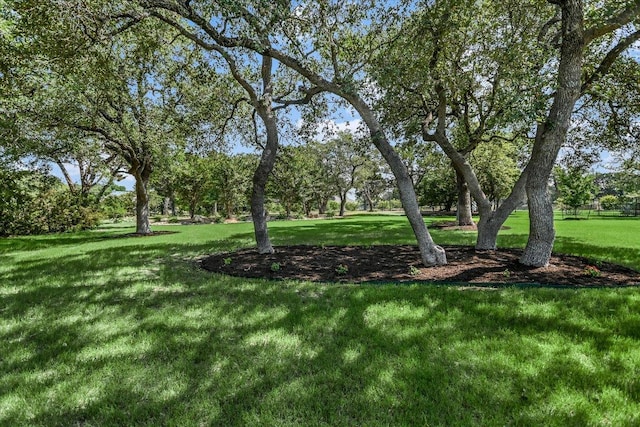 313 Aldea Cv, Georgetown, TX 78633 - view of grassy yard