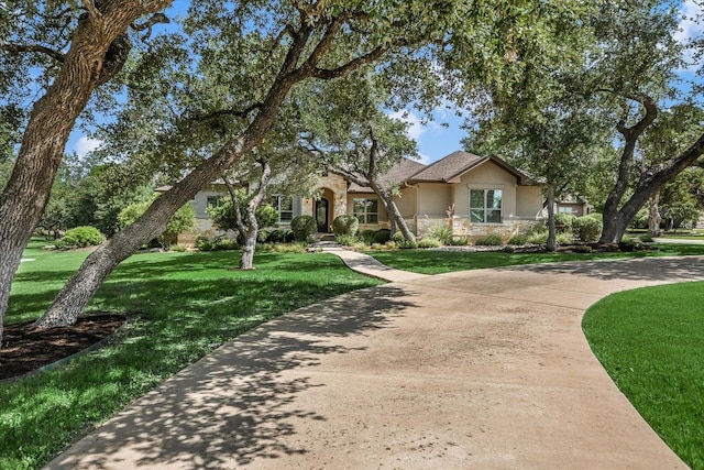 313 Aldea Cv, Georgetown, TX 78633 - view of front facade with stucco siding, a front lawn, and stone siding
