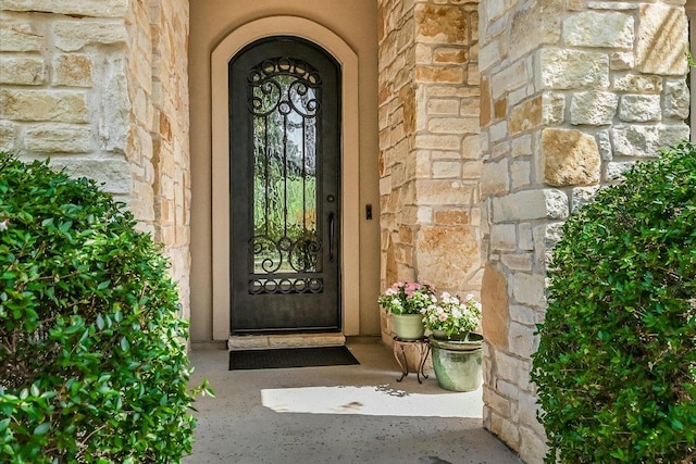 313 Aldea Cv, Georgetown, TX 78633 - doorway to property with stone siding