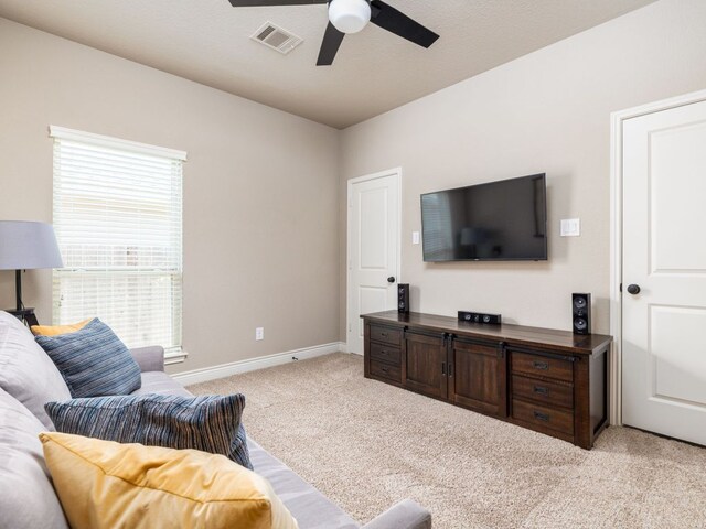500 Cortona Ln, Georgetown, TX 78628 - photo 16