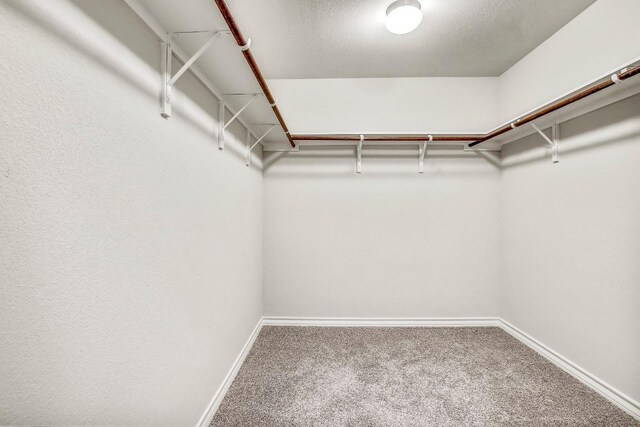 1702 Jacey Way, Austin, TX 78725 - photo 25