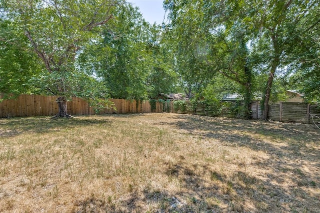 4709 Brassiewood Dr, Austin, TX 78744 - view of yard