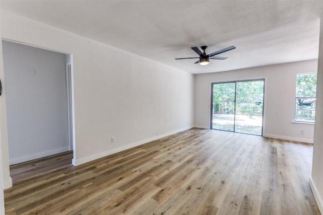 4709 Brassiewood Dr, Austin, TX 78744 - photo 7