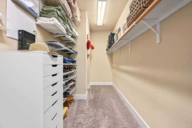 10904 Brazoria Ln Unit 88, Austin, TX 78717 - spacious closet with carpet