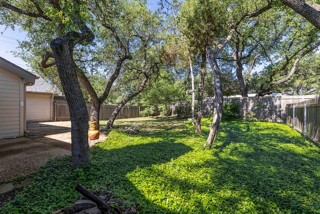 9226 Jollyville Rd Unit 191, Austin, TX 78759 - view of yard
