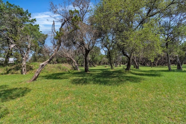 226 Mesa Rdg, Leander, TX 78641 - view of grassy yard