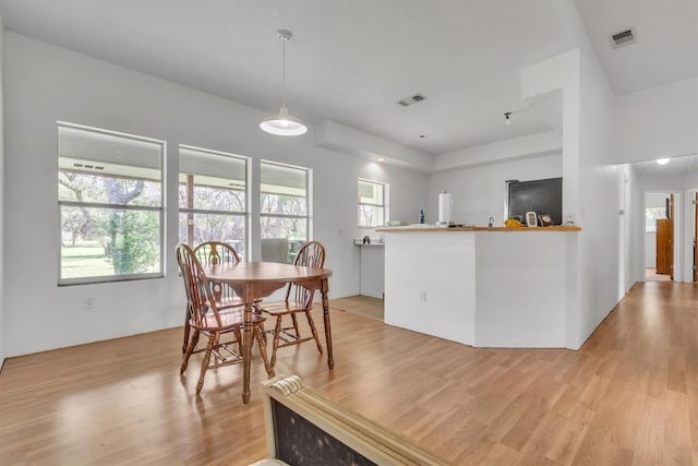 226 Mesa Rdg, Leander, TX 78641 - dining area with light wood-style flooring and healthy amount of natural light
