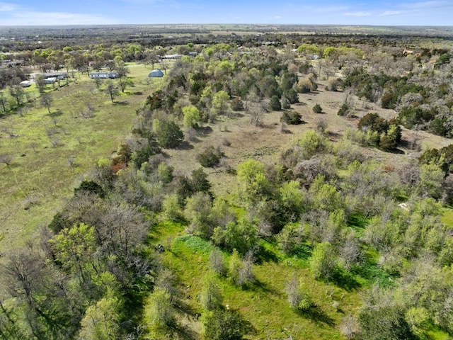 229 State Highway 21 W, Cedar Creek, TX 78612