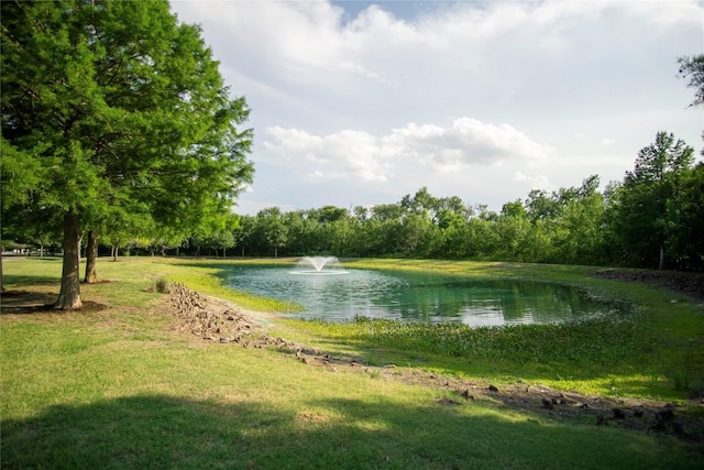 19108 Obed River Dr, Pflugerville, TX 78660 - water view
