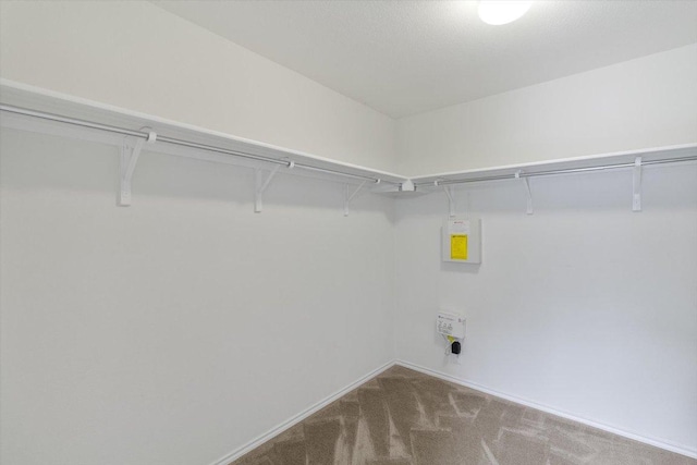 6729 Sunderland Trl, Austin, TX 78747 - washroom with electric dryer hookup, carpet flooring, and baseboards