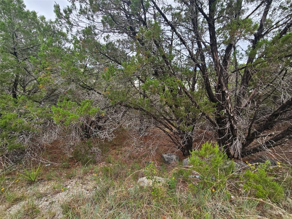 8216 Arroyo Ave, Lago Vista, TX 78645