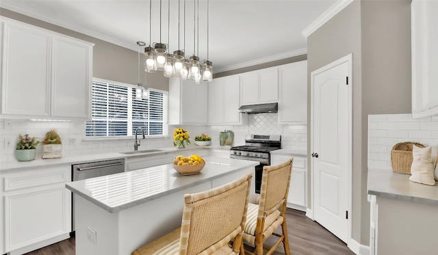 3504 Ashmere Loop SE, Round Rock, TX 78681 - kitchen featuring stainless steel appliances, under cabinet range hood, decorative backsplash, white cabinetry, and crown molding