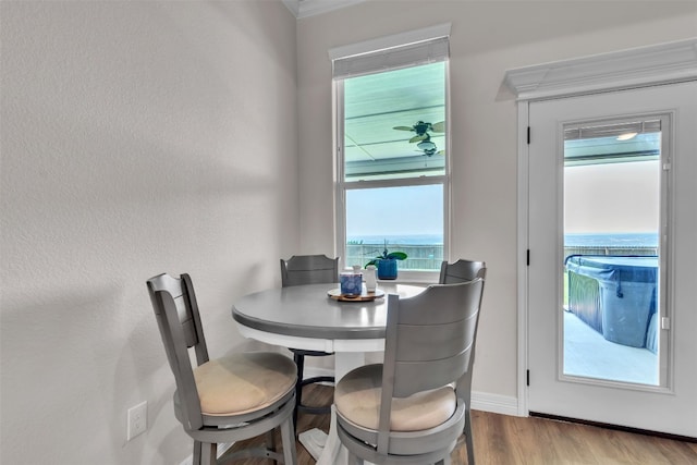 222 Overlook Trl, Copperas Cove, TX 76522 - dining room with wood finished floors, baseboards, and ornamental molding
