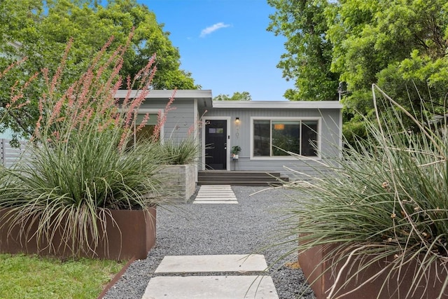 1707 Collier St, Austin, TX 78704 - view of front of home